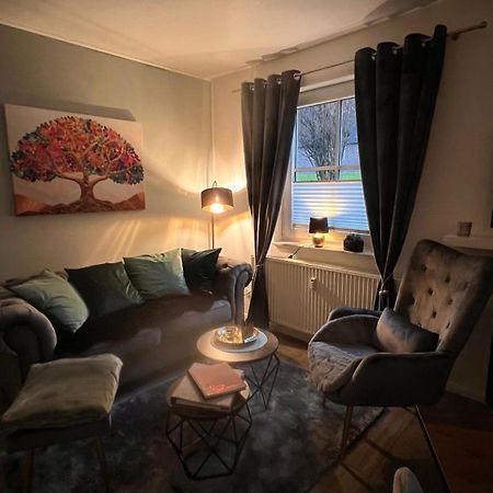 Harz-Zauber Appartement Braunlage Buitenkant foto