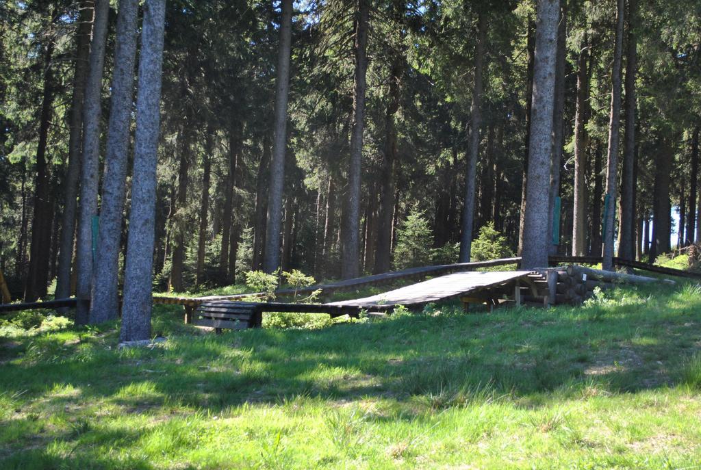 Harz-Zauber Appartement Braunlage Buitenkant foto